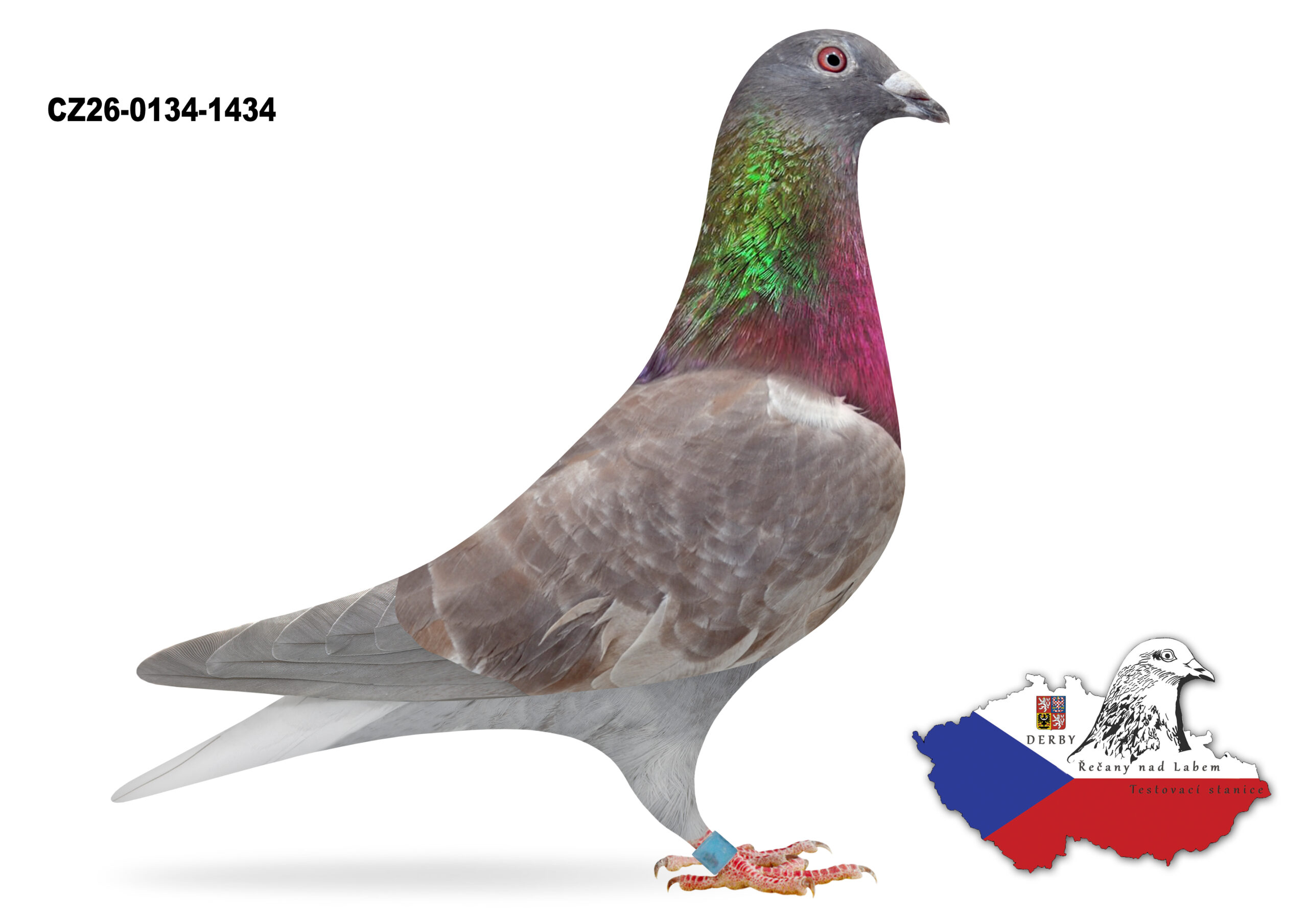CZ-2026-0134-1434