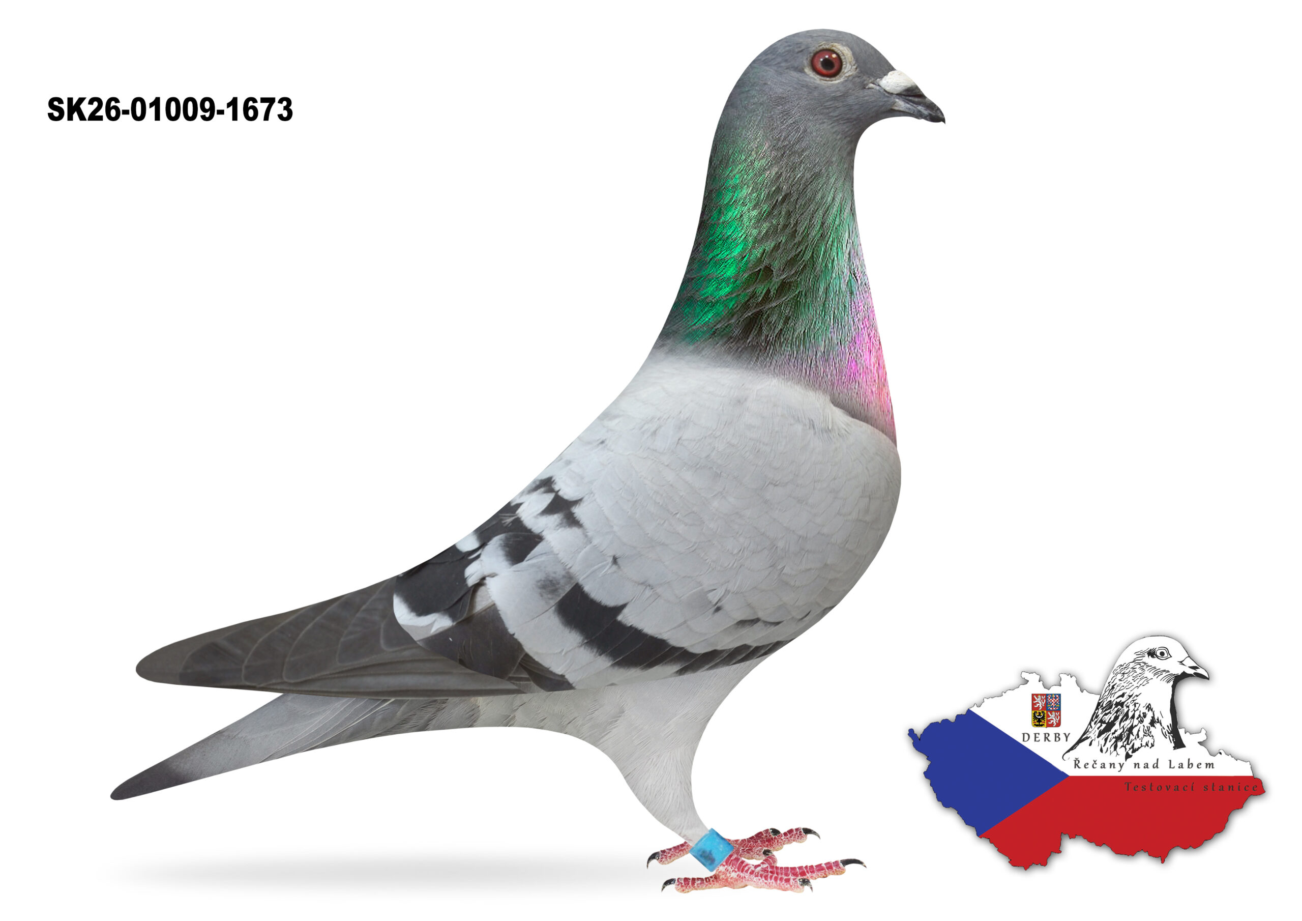 SK-2026-01009-1673