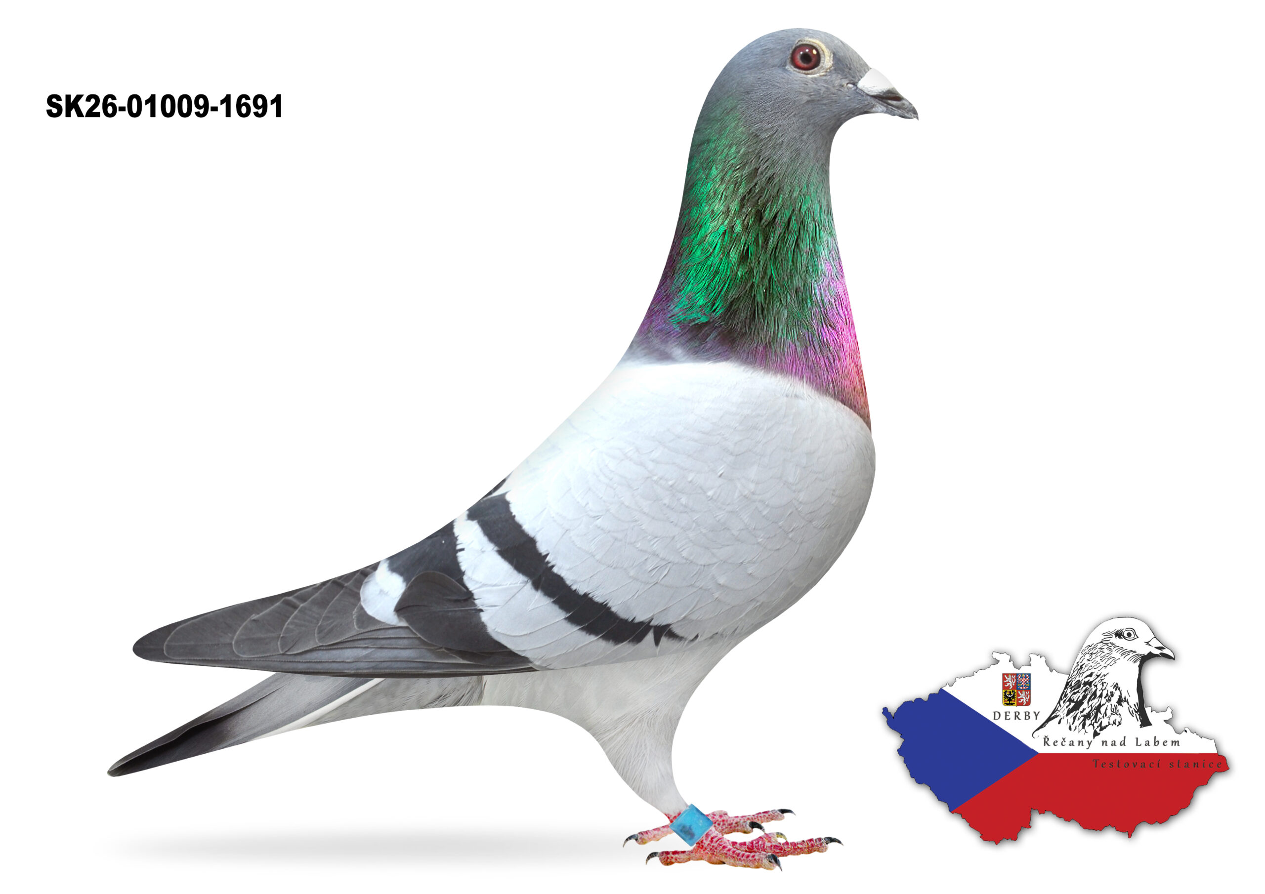 SK-2026-01009-1691